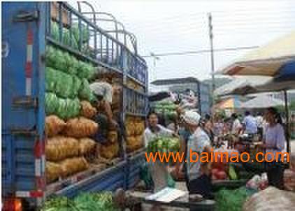 共好膳食 專業(yè)食材配送與餐飲服務(wù)專家